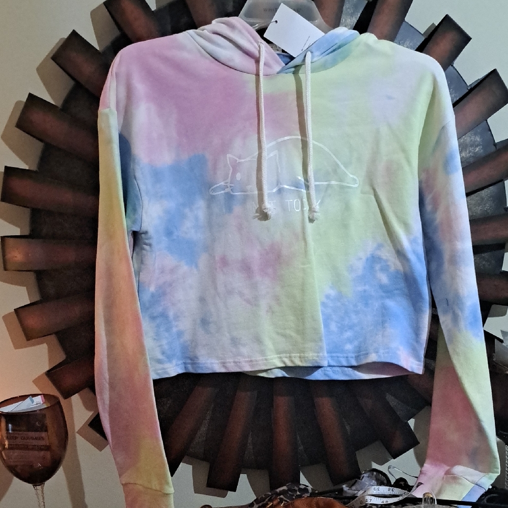 Tie-Dye Hoodie Not Today